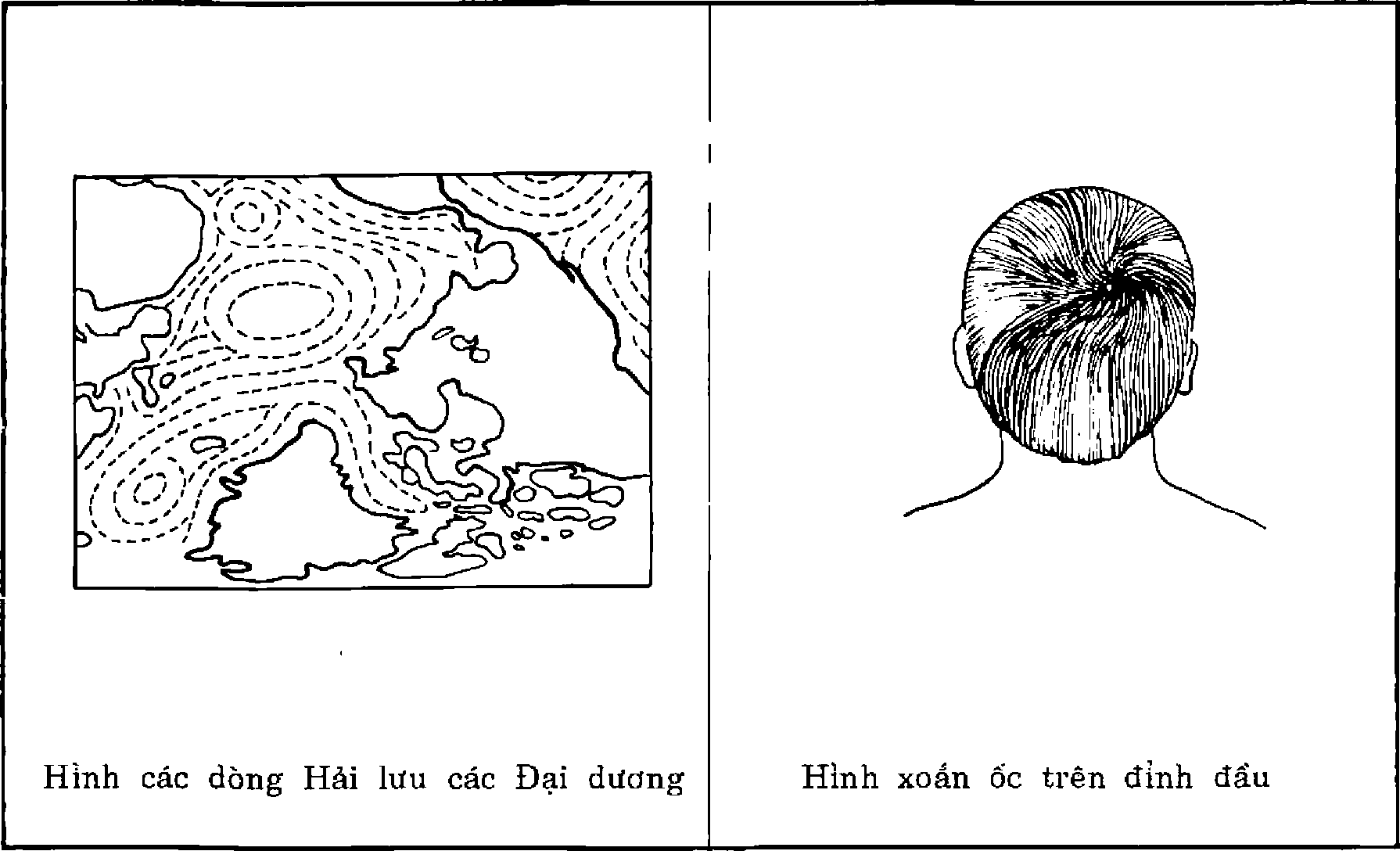 Hình trong sách
