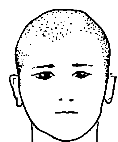 Hình trong sách