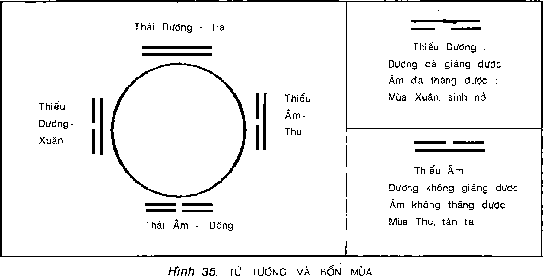 Hình trong sách