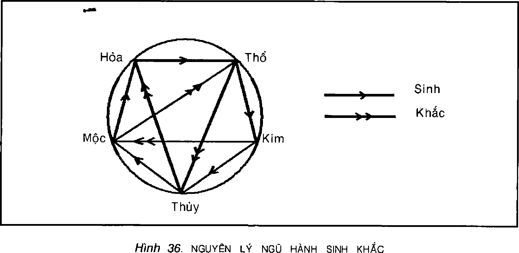 Hình trong sách