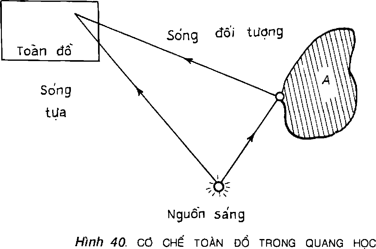 Hình trong sách