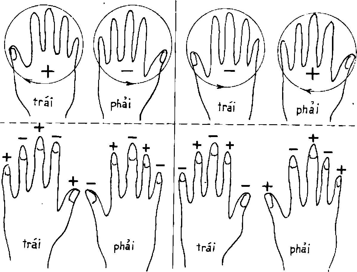 Hình trong sách