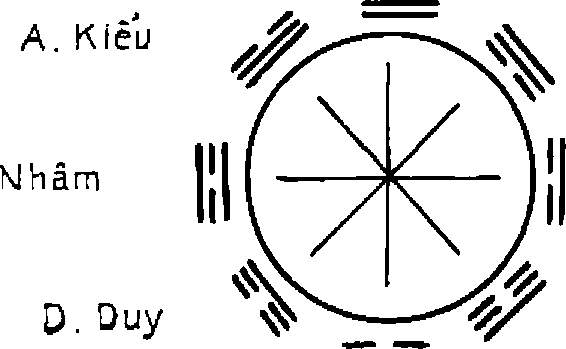 Hình trong sách
