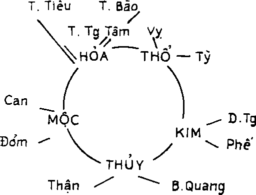 Hình trong sách