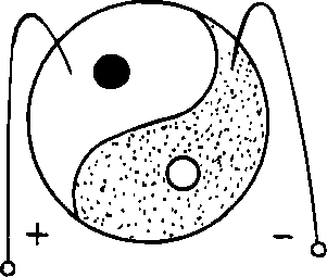 Hình trong sách
