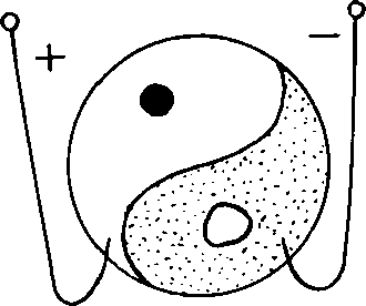 Hình trong sách