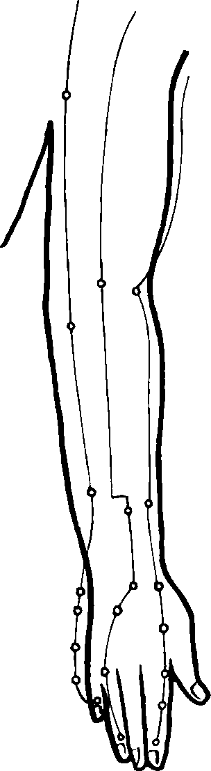 Hình trong sách