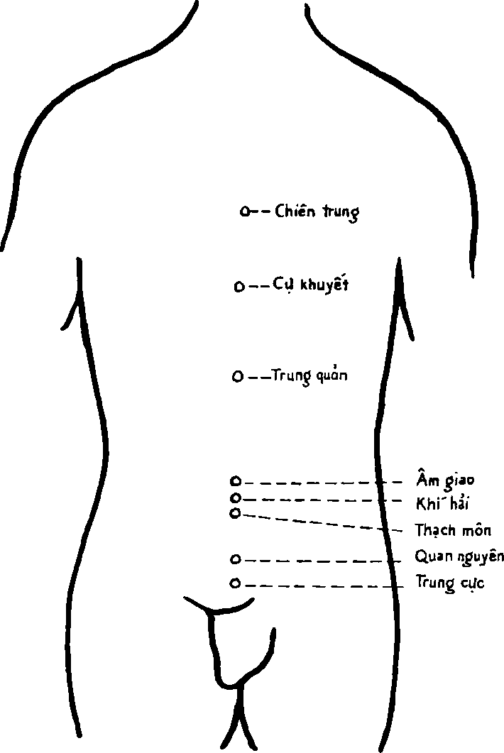 Hình trong sách