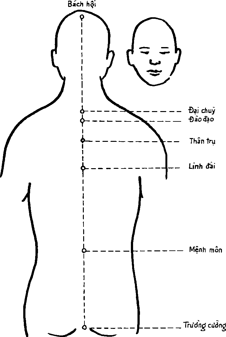 Hình trong sách