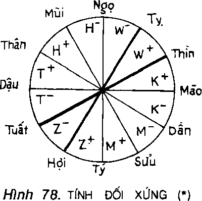 Hình 79. TÍNH ĐỐI XỨNG (*)