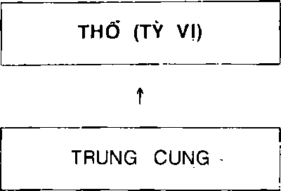 Hình trong sách
