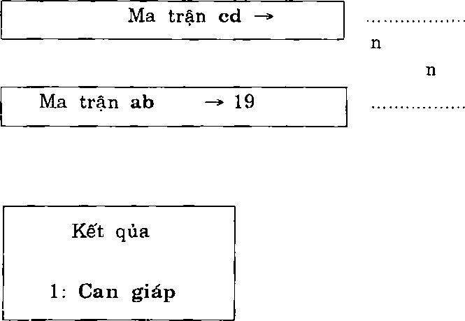 Hình trong sách