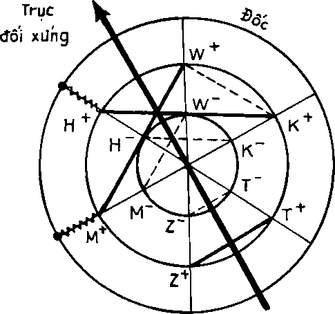 Hình trong sách
