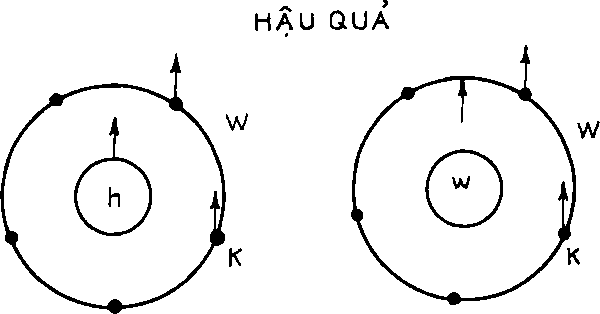 Hình 108. CÁC HẬU QUẨ SUY TỪ KẾT LUẬN THỦY SUY
