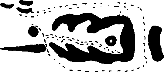 Hình trong sách