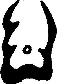 Hình trong sách
