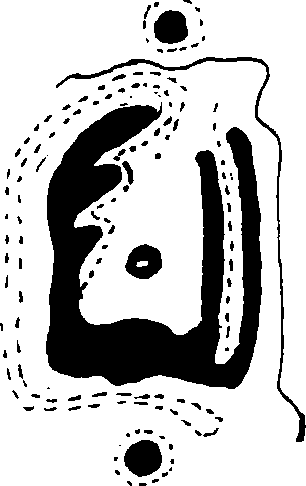 Hình trong sách