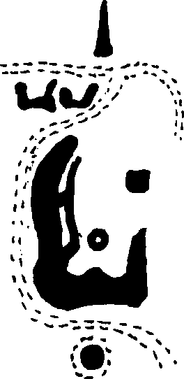 Hình trong sách