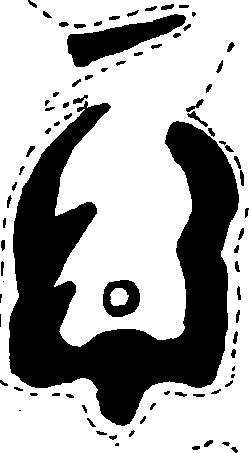 Hình trong sách