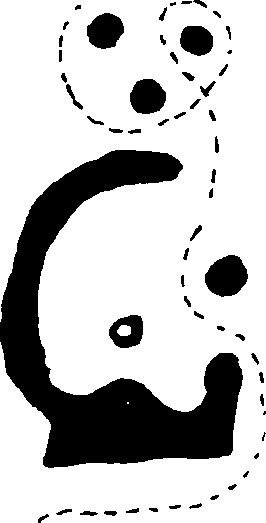 Hình trong sách