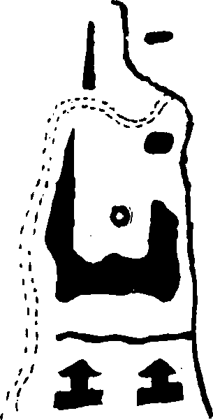 Hình trong sách