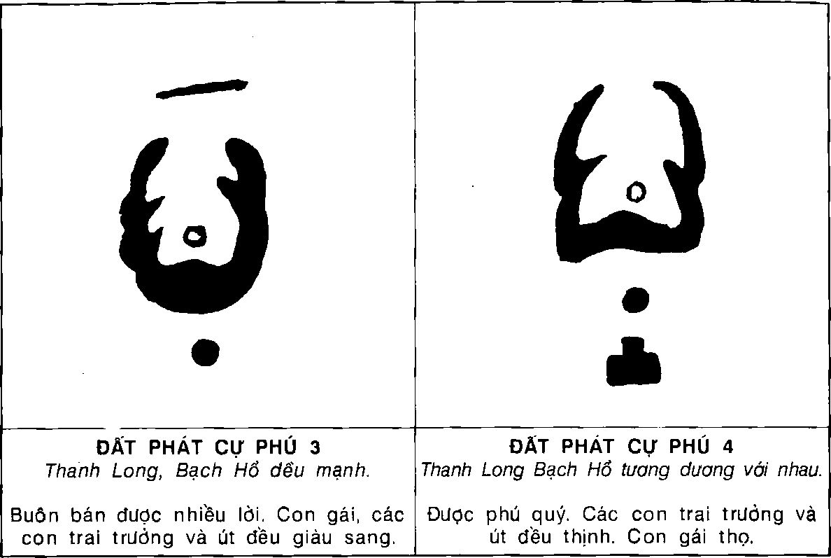 Hình trong sách