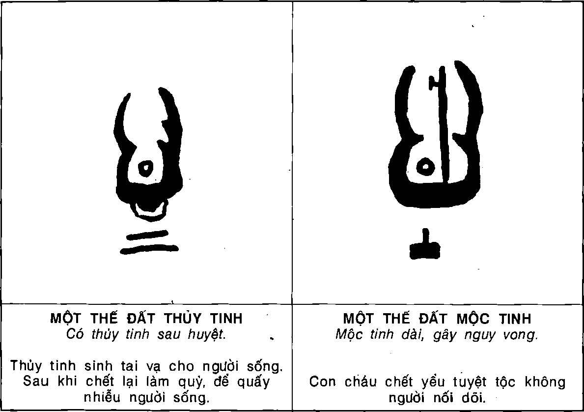 Hình trong sách