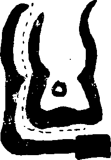 Hình trong sách