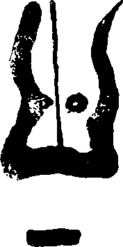 Hình trong sách