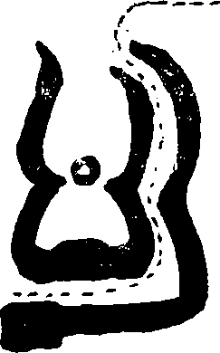 Hình trong sách