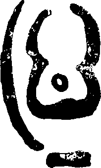 Hình trong sách