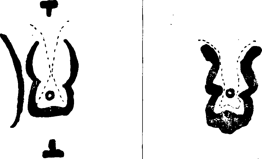 Hình trong sách