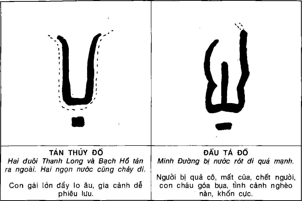 Hình trong sách