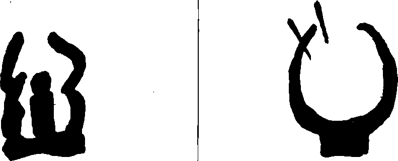 Hình trong sách