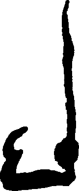 Hình trong sách