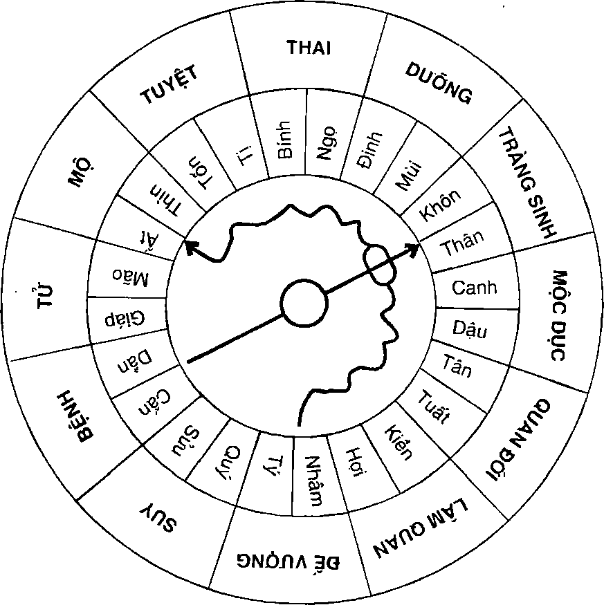 Hình trong sách