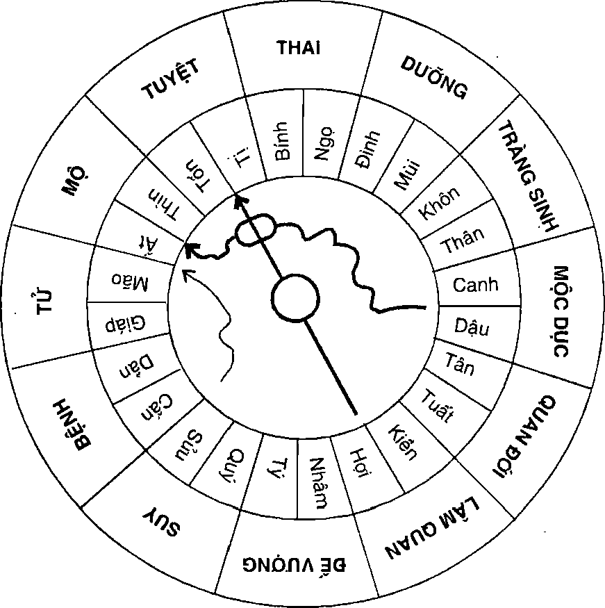 Hình trong sách