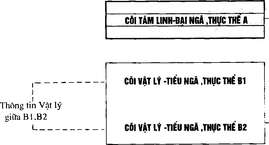 Hình trong sách