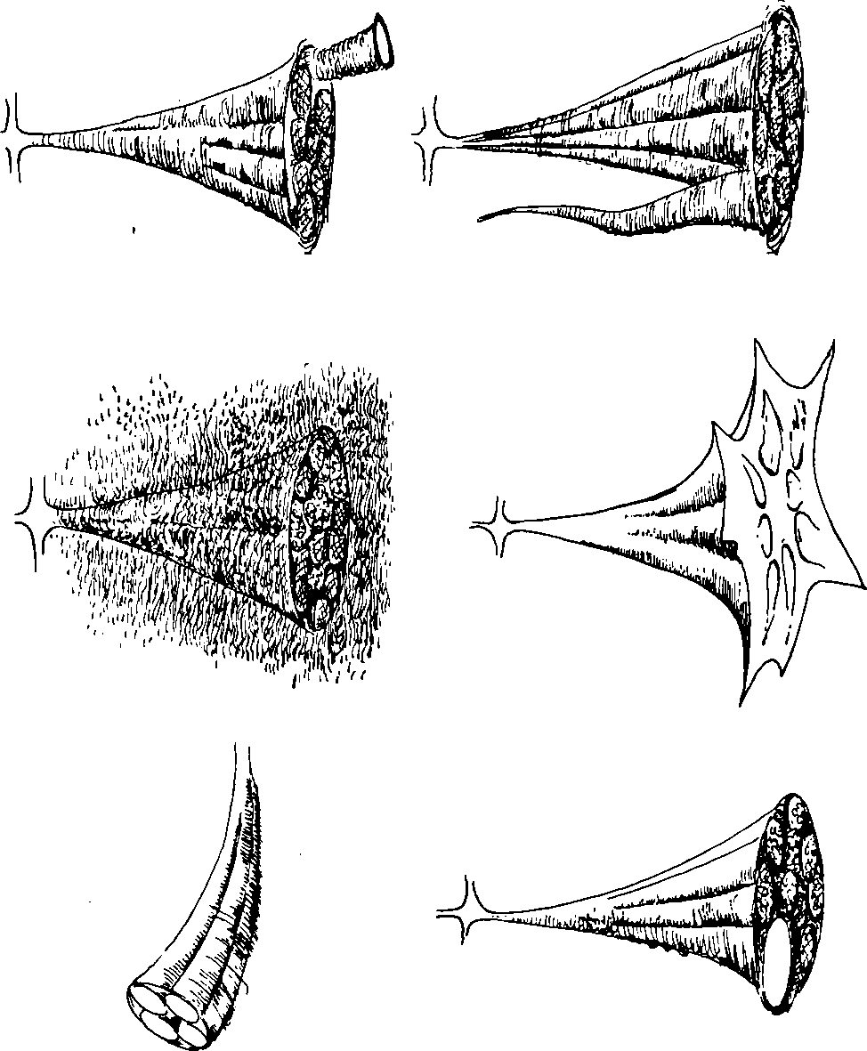 Hình trong sách
