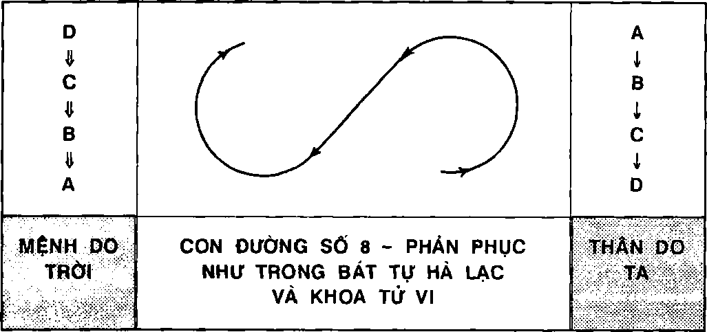 Hình trong sách
