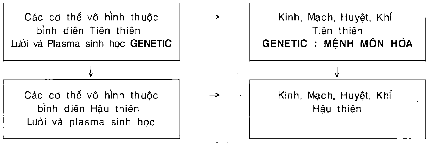 Công thức, ảnh quét từ bản in