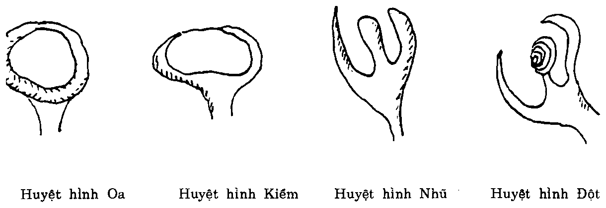 Công thức, ảnh quét từ bản in