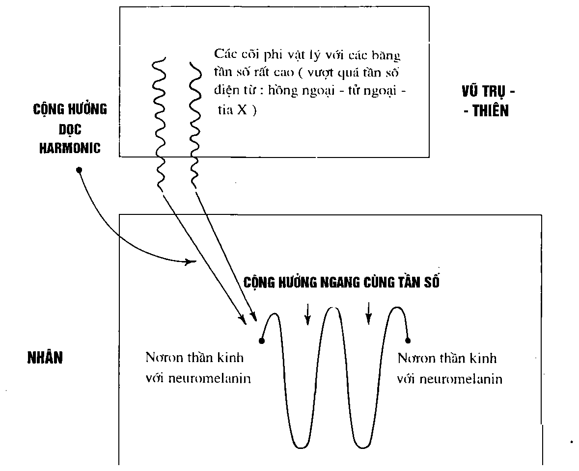 Công thức, ảnh quét từ bản in