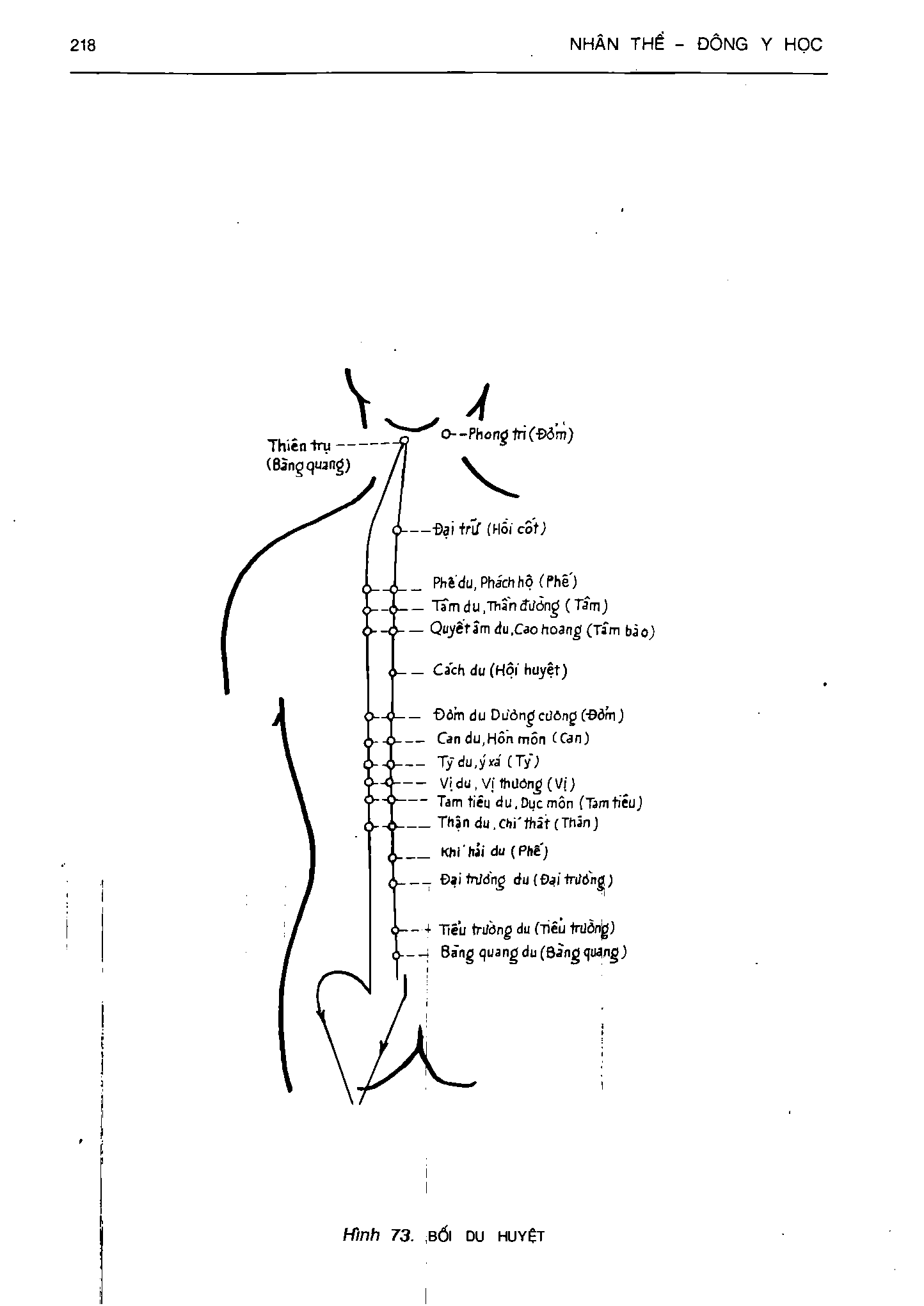 Ảnh quét trang 218